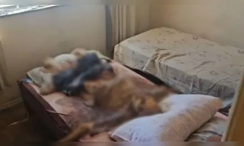 Vídeo mostra prisão de irmãos que mantinham pai morto dentro de casa