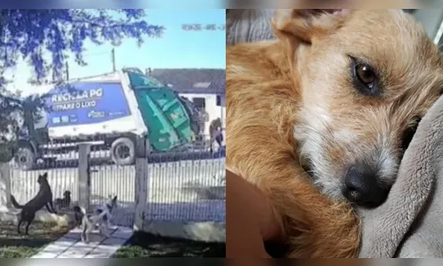 Cadela é atropelada e triturada por caminhão do lixo no PR