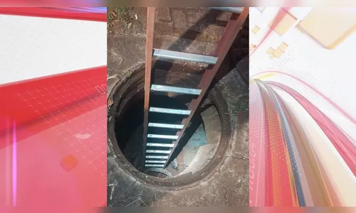 Quadrilha finge trabalhar em empresa para furtar uma tonelada de cabos