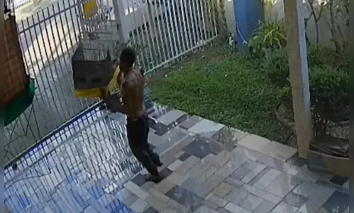 Depois de cachorro de raça, homem é flagrado furtando calopsitas