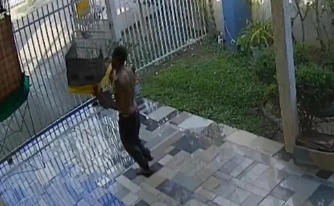 Homem foi filmando levando pássaros