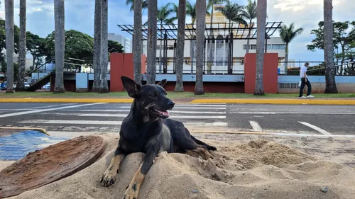 Não há previsão de chuva