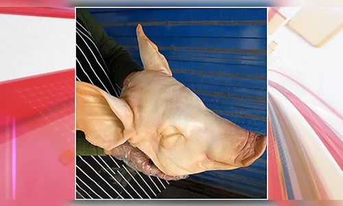 Homem recebe cabeça de porco e bilhete com ameaças no PR