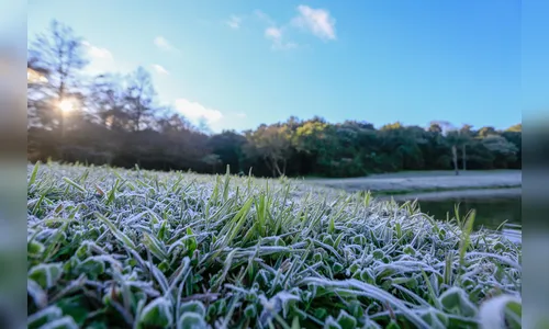Simepar prevê geada para Apucarana após chegada de massa polar ao PR
