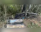 Piloto de balão que caiu tentou combater incêndio, mas extintor falhou