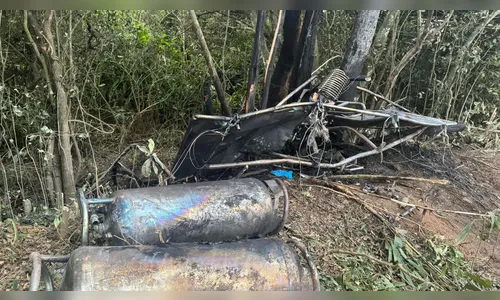 Piloto de balão que caiu tentou combater incêndio, mas extintor falhou