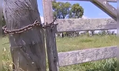 Produtor registra furto de gado nelore em sítio de Rosário do Ivaí