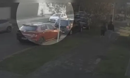 Vídeo mostra gestante sendo atacada por 13 cães durante passeio no PR