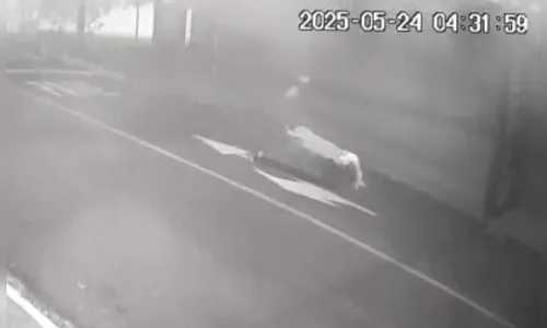 Veja corpo de homem sendo desovado de carriola no centro de Apucarana