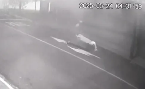 Corpo foi levado de carriola até um terreno na Rua Dr. Oswaldo Cruz, onde foi desovado por três homens.