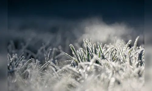 Semana terá mínima de 2°C e muito frio em Apucarana, diz Simepar