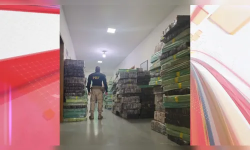 PRF apreende quase sete toneladas de maconha na BR-369 em Cambé