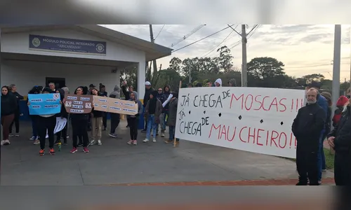 Moradores de Aricanduva protestam contra mau cheiro causado por granja