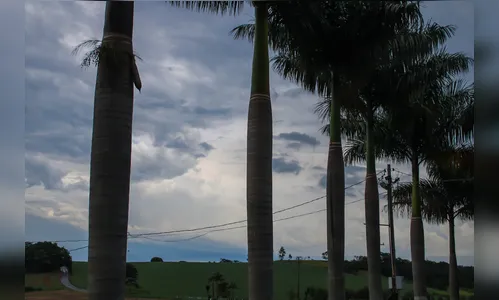 Veja como fica o tempo em Apucarana nesta quinta (05)