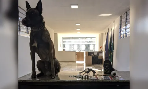 Homem usa mulher e filha como escudo durante operação policial em Apucarana