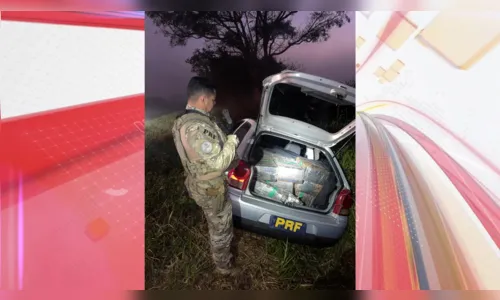 PRF apreende quase 400 kg de maconha em Cascavel