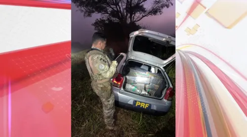 PRF apreende quase 400 kg de maconha em Cascavel