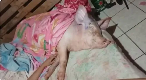 Peppa dormindo em sua cama