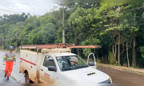 Queda de galho em rede da Copel deixa moradores sem energia em Apucarana