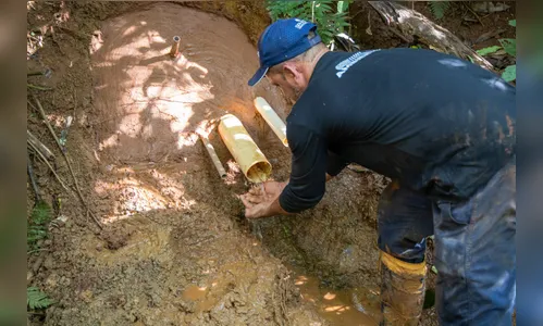 Parceria entre Prefeitura e Itaipu vai recuperar vinte nascentes