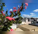 Confira os falecimentos desta quinta-feira (03) em Apucarana