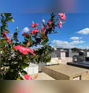 Confira os falecimentos desta quarta-feira (16) em Apucarana