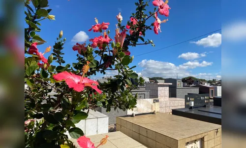 Confira os falecimentos desta quinta-feira (03) em Apucarana