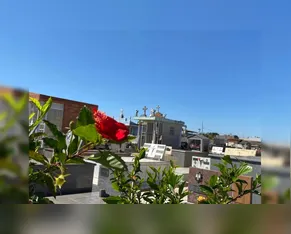 Confira os falecimentos deste sábado (03) em Apucarana