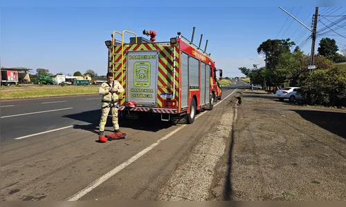 
							Árvore cai sobre casa e bombeiros são acionados em Apucarana
						
						