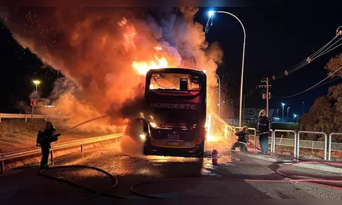
							Ônibus com 45 passageiros que saiu do PR pega fogo em SC; veja
						
						