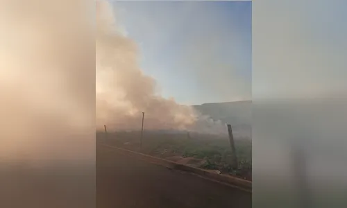 
							Incêndio atinge área com hortas e assusta moradores no Solo Sagrado
						
						