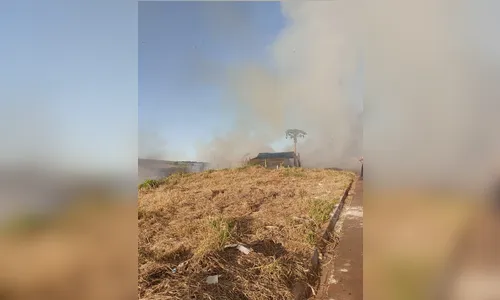 
							Incêndio atinge área com hortas e assusta moradores no Solo Sagrado
						
						