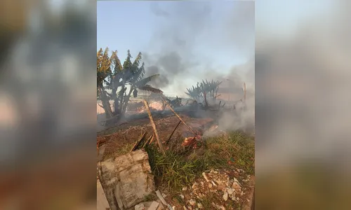 
							Incêndio atinge área com hortas e assusta moradores no Solo Sagrado
						
						