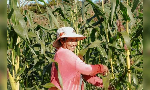 
							Comer bem é um direito: o 
