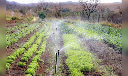 
							Comer bem é um direito: o 