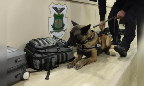 
							PCPR forma sete condutores em curso inédito de operações com cães
						
						