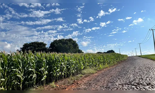 
							Estrada que desvia de pedágio será asfaltada e pode virar rota alternativa
						
						