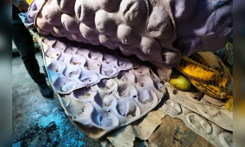 
							Ação contra venda informal encontra ratos, baratas e comida vencida
						
						