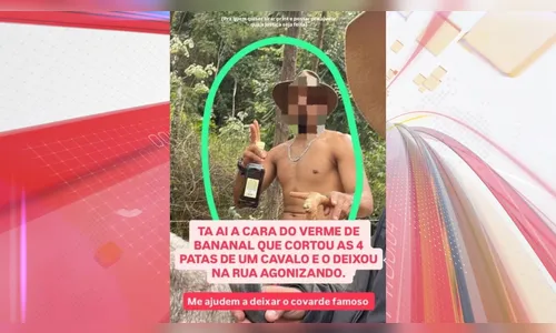 
							Ana Castela denuncia homem após ele cortar patas de cavalo
						
						