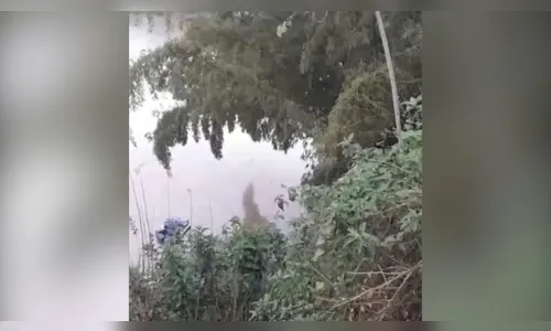 
							Bombeiros são acionados para tirar corpo de rio e era só um manequim
						
						