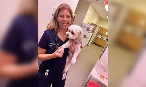 
							Dra. Tathiana Anacleto revela casos de diabetes gestacional em animais
						
						