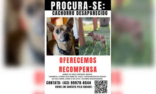 
							Família procura por Pinscher desaparecido no Vale Verde
						
						