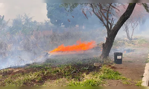 
							Incêndios geram transtornos à população da zona norte de Apucarana
						
						
