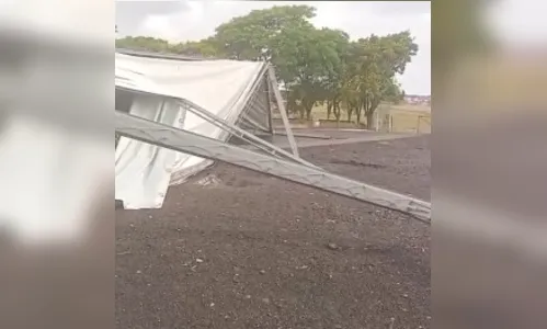 
							Temporal causa queda de árvores e estragos na região; veja onde
						
						