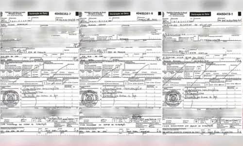 
							Declarações de óbito apontam espancamento antes de mortes em Icaraíma (PR)
						
						