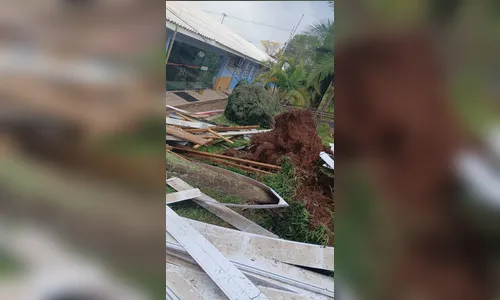 
							País terá onda de tempestades e risco de tornado, aponta instituto; saiba mais
						
						