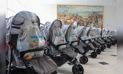 
							Estado inicia distribuição inédita de 10 mil kits para mães e bebês
						
						