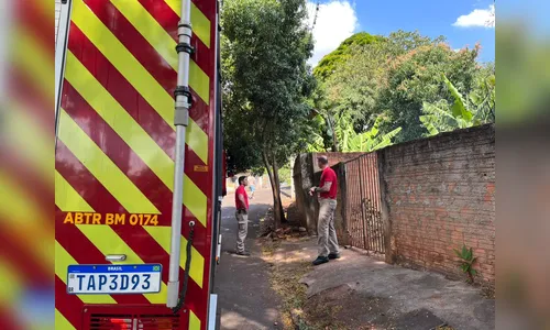 
							Incêndio em vegetação aos fundos de residência mobiliza Corpo de Bombeiros
						
						