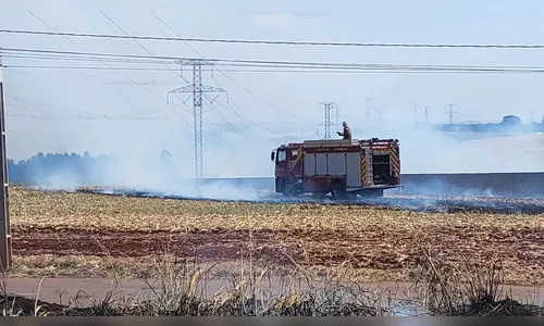 
							Incêndio de grandes proporções atinge propriedade rural em Califórnia
						
						