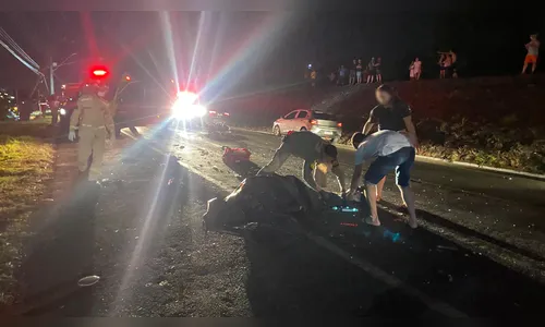 
							Motociclista morre após colisão frontal na BR-369 em Apucarana
						
						
